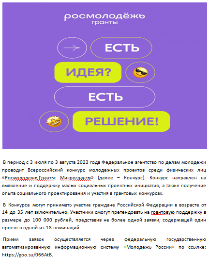 Федеральное агентство по делам молодежи  ежегодно проводит Всероссийский конкурс молодежных проектов