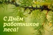 Уважаемые работники и ветераны лесопромышленного комплекса  Ленского района!